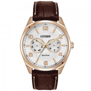 Citizen Eco-Drive Silver Tone Men